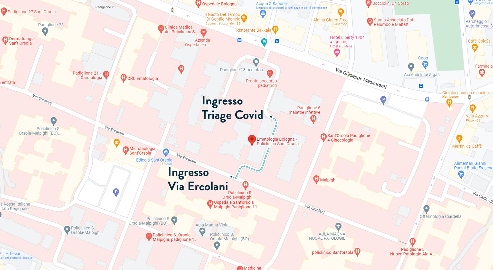 Mappa_Ingressi_TriageCovid